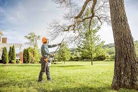 Best Storm Damage Tree Cleanup  in Lebanon, IN